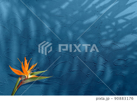 コテ塗りで仕上げたチョークブルーの壁と、トロピカルなストレリチアとヤシの葉シルエット 90883176