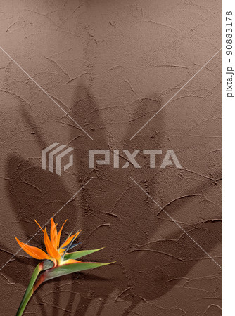 コテ塗りカフェブラウンの壁と、トロピカルなストレリチアの花と葉 90883178