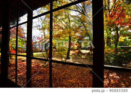 市島邸の紅葉(新潟県) 市島邸の紅葉(新潟県) 90883380