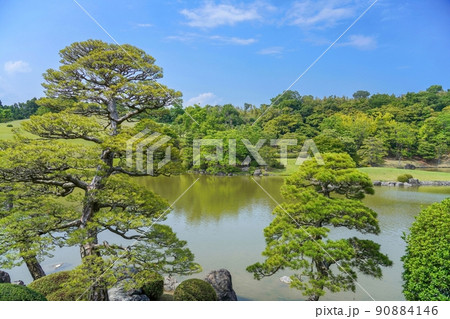 きれいな形のクロマツ越しに見る日本庭園の情景＠万博公園、大阪 90884146