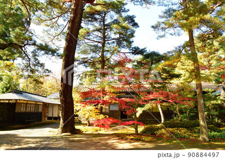 市島邸の紅葉(新潟県) 市島邸の紅葉(新潟県) 90884497