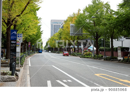 横浜都市風景　山下公園通り 90885068