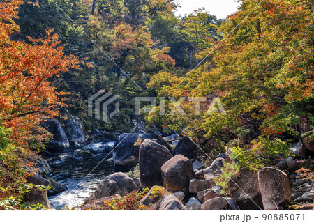 山梨県　紅葉の御嶽昇仙峡 90885071