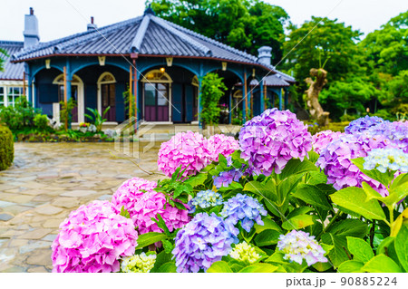 グラバー園　雨の日　アジサイ　旧グラバー住宅　【長崎県長崎市】 90885224