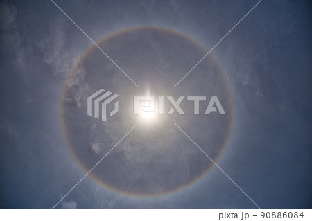 ゆりの里公園 ゆりの里公園 90886084