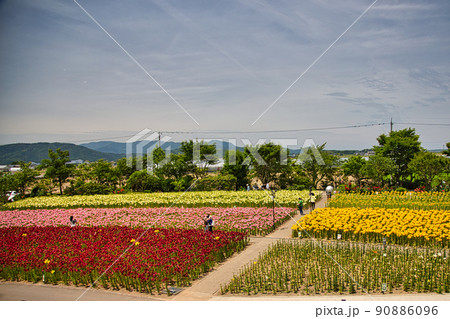 ゆりの里公園 90886096