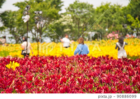 ゆりの里公園 90886099