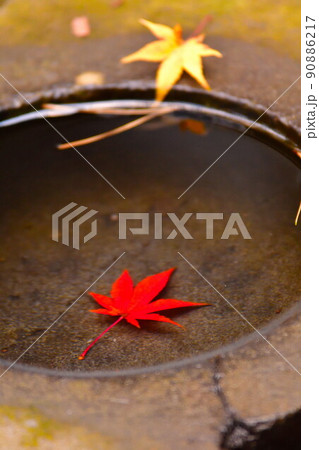 紅葉イメージ 紅葉イメージ 90886217