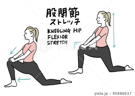 骨盤と股関節のストレッチ 骨盤と股関節のストレッチ 90886637