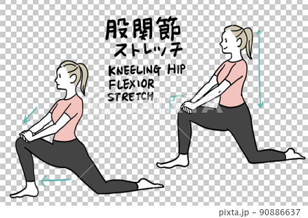 骨盤と股関節のストレッチ 骨盤と股関節のストレッチ 90886637