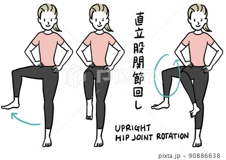 骨盤と股関節のストレッチ 骨盤と股関節のストレッチ 90886638