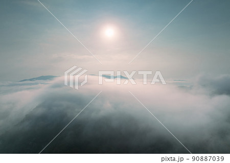Fog in forest. Fog in forest. 90887039