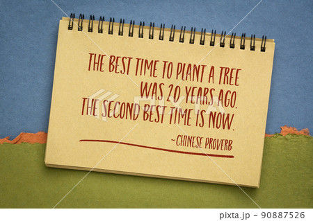 the best time to plant a tree - Chinese proverb 90887526