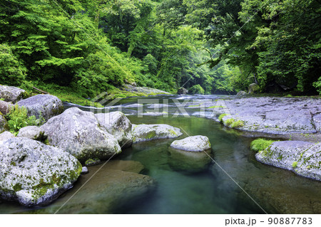 綺麗な水に癒やされる菊池渓谷(熊本県菊池市) 綺麗な水に癒やされる菊池渓谷(熊本県菊池市) 90887783