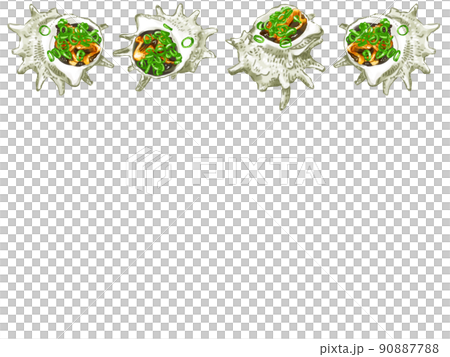 Hand-painted watercolor turban shell illustration rectangular frame on top Hand-painted watercolor turban shell illustration rectangular frame on top 90887788