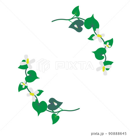 緑リーフ　どくだみの花 90888645