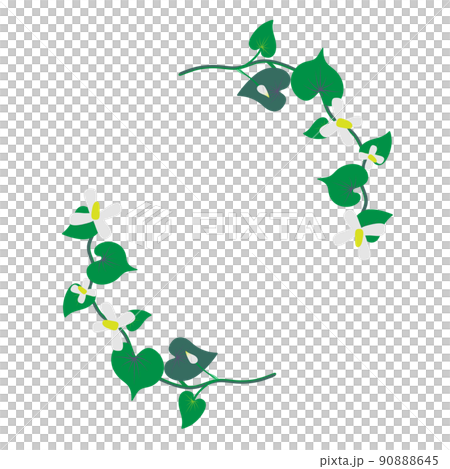 緑リーフ　どくだみの花 90888645