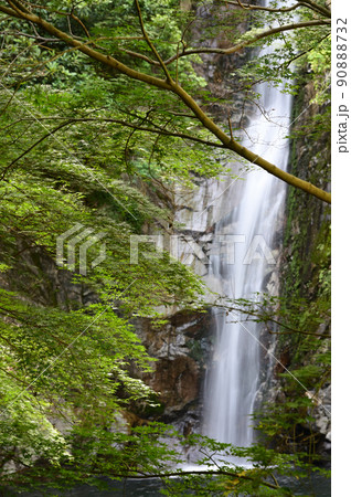 青葉と布引の滝　雌滝 90888732