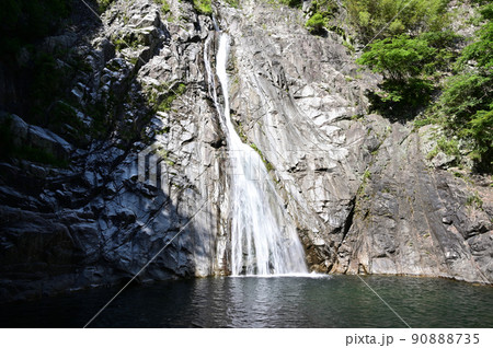 光を浴びる布引の滝 雄滝 光を浴びる布引の滝 雄滝 90888735
