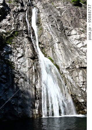 光を浴びる布引の滝 雄滝 光を浴びる布引の滝 雄滝 90888737