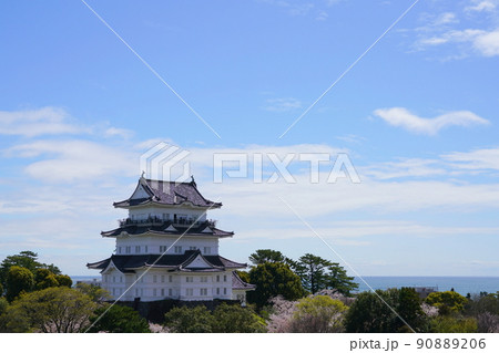 小田原城 桜 小田原城 桜 90889206