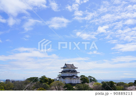 小田原城 桜 90889213