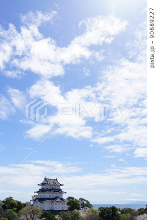 小田原城 桜 小田原城 桜 90889227