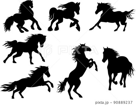 Image of silhouettes in different horse poses. Vector image. EPS10 Image of silhouettes in different horse poses. Vector image. EPS10 90889237