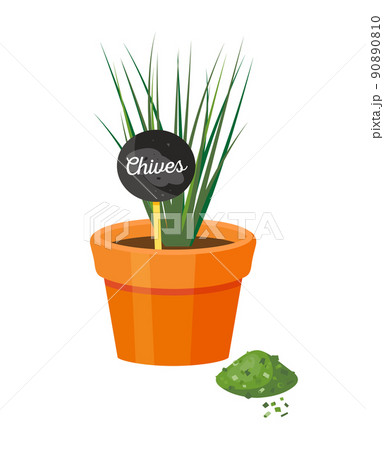 Chives in Pot and Table Powder Vector Illustration 90890810