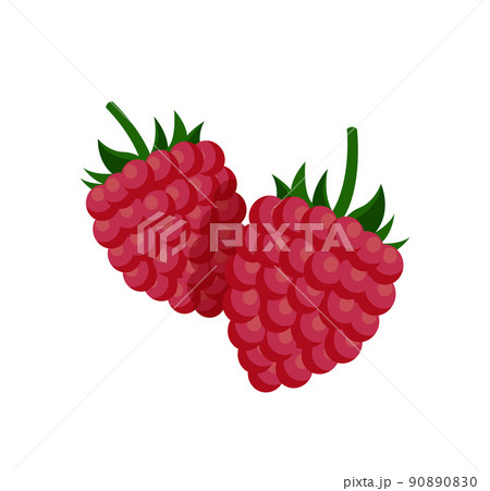 Sweet Small Raspberry with Fruit-stalk Poster Sweet Small Raspberry with Fruit-stalk Poster 90890830
