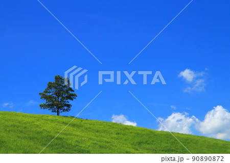 高原の青空と雲Ⅱ 高原の青空と雲Ⅱ 90890872