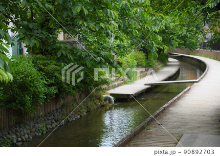 新緑に包まれた二ヶ領用水 90892703