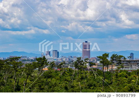 中田島砂丘から観た浜松市街 90893799