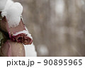 Wilted rosebuds under the snow in the winter park. Close-up, selective focus 90895965