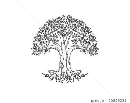 Ancient tree hand drawing. tree logo design with line art style. 90896221