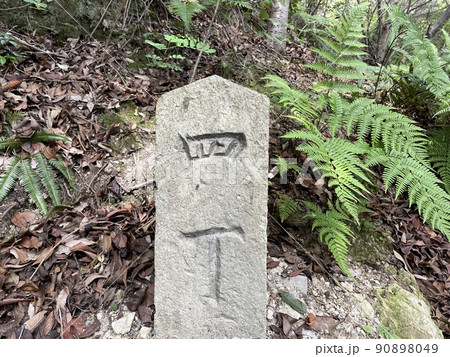 登山道にある石柱 四丁 登山道にある石柱 四丁 90898049