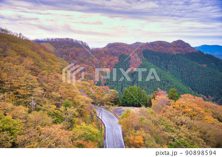 【和歌山県】10月・龍神ごまさんスカイタワーからの眺め 90898594