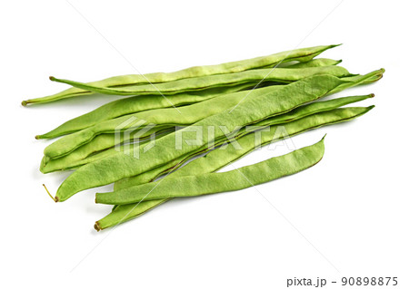 モロッコいんげん モロッコいんげん 90898875