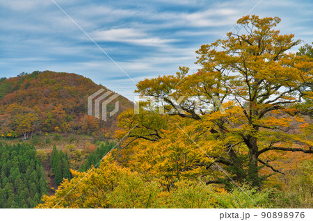 【和歌山県】10月・紅葉シーズン到来、雨上がりの高野龍神スカイラインからの眺め 90898976