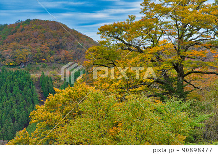 【和歌山県】10月・紅葉シーズン到来、雨上がりの高野龍神スカイラインからの眺め 90898977