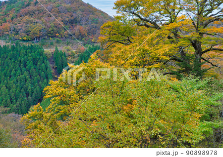 【和歌山県】10月・紅葉シーズン到来、雨上がりの高野龍神スカイラインからの眺め 90898978
