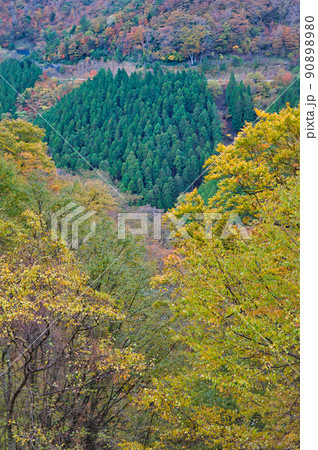 【和歌山県】10月・紅葉シーズン到来、雨上がりの高野龍神スカイラインからの眺め 90898980