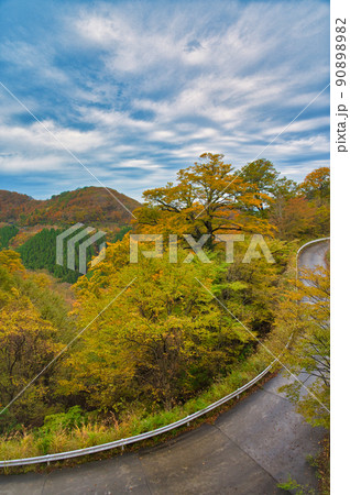 和歌山県 10月 紅葉シーズン到来 雨上がりの高野龍神スカイラインからの眺めの写真素材 90