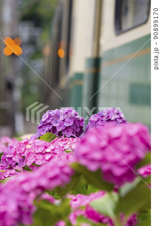 長谷を過ぎて 90899170