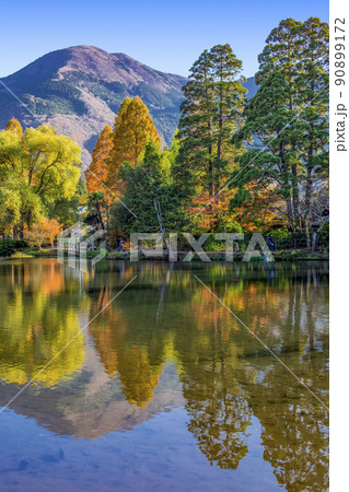 湯布院　金鱗湖紅葉 90899172