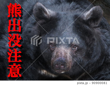 熊出没注意 ポスター アイコン 看板 熊出没注意 ポスター アイコン 看板 90900081