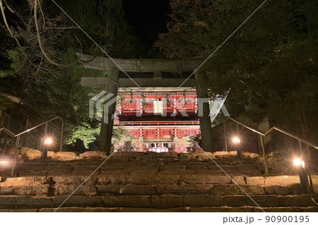 ライトアップされた秋の花園神社（茨城県）の参道と楼門 90900195