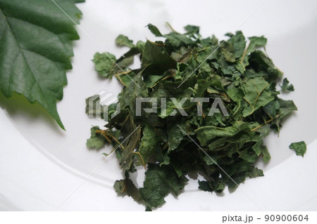 桑の葉茶 90900604