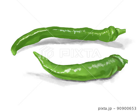 野菜の素材　夏　唐辛子 90900653