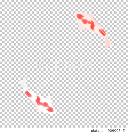 錦鯉 90900845